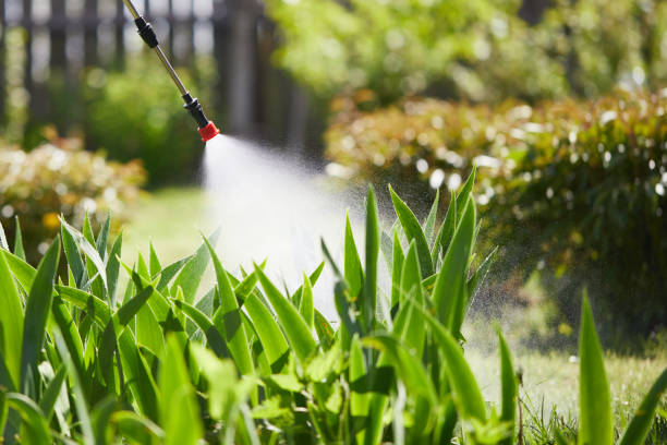 Tamper-Resistant Bait Stations for Rodents in Streamwood