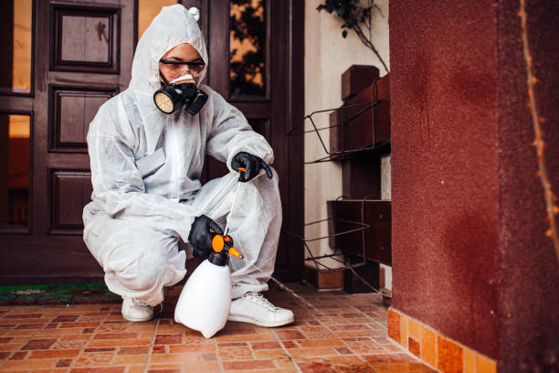 Attic and Crawl Space Rodent Treatment in Streamwood